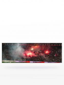 Canvas 12e minuut Feyenoord - Twente